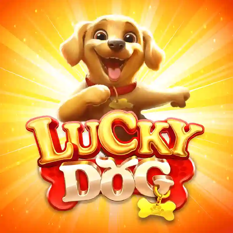 Lucky Dog slot en Pillo Casino
